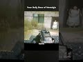 Daily Dose of Nostalgia