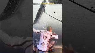 The Fishing Rod Is Weak When Attracting Large Fish Resimi