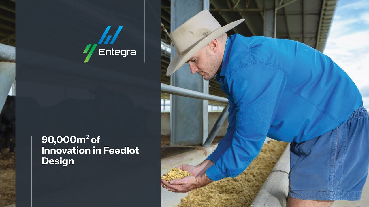 90,000m² of Innovation in Feedlot Design | Elbow Valley Beef