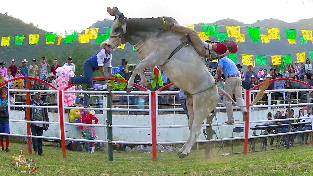 ¡¡¡QUE NADIE SE META!!!... SON LOS PORRAZOS DE LOS INDESTRUCTIBLES DEL RANCHO H3H. EL 4 DE 4