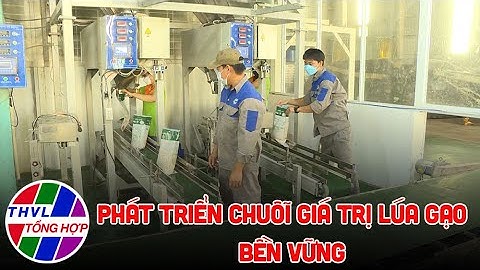 Nông nghiệp bền vững: Phát triển chuỗi giá trị lúa gạo bền vững