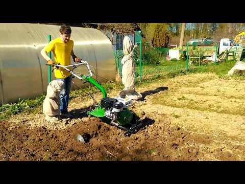 Video: Motoblock Aurora: Country 1400 көп сменалык, Country 1350 жана Gardener 750 моделдеринин өзгөчөлүктөрү. Кайсы тиркеме ылайыктуу? Ээсинин сын -пикирлери