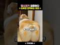 귀엽다고 생각했죠? 이 엉덩이는 도파민 폭발입니다🐕💥
