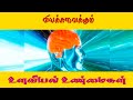 Physiological Facts – மனதைப் புரிந்துகொள்ளும் அற்புத தகவல்கள்! (@786jkr )