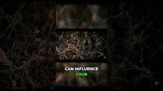 What This Parasite Does To Your Behavior