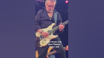 Blue Oyster Cult #rocknroll #livemusic #guitarsolo #boc #buckdharma