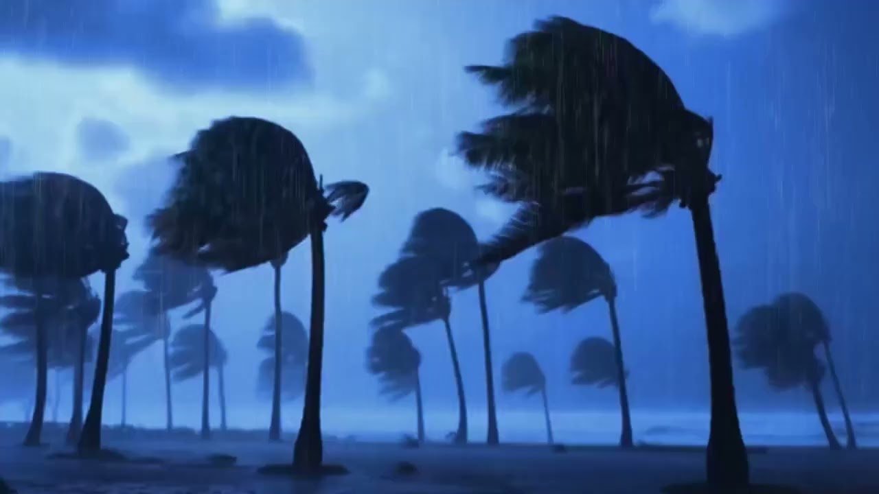 Wild Beach Storm 🌊 Heavy Rough Ocean Waves | ASMR Sleep, Study & Relax