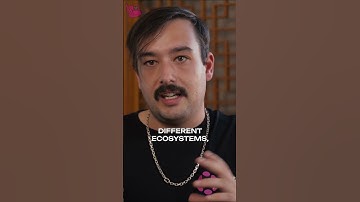 The Polkadot Blueprint for the Multi-Chain Web3