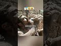 👉 “Video skip na kari… last shot dekh ke tu hil jaega. ##snipermovie #hollywoodhindidubbed