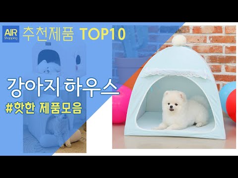 강아지 하우스 강아지집 추천 순위 Top10