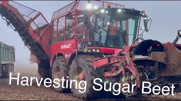 Video Diary on the Farm No.142