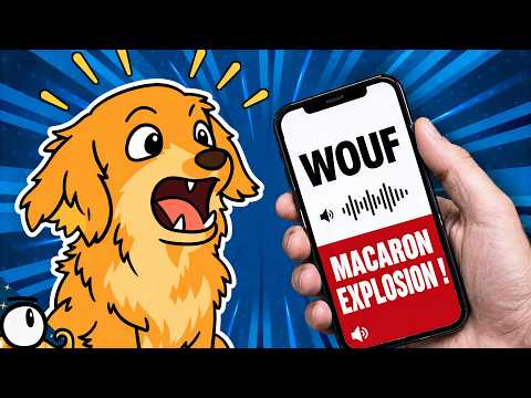 How to UNDERSTAND ANIMALS?