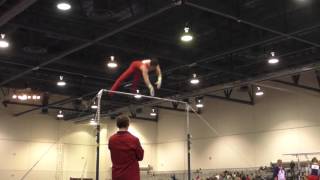 Levi Anderson – High Bar – 2016 Winter Cup Prelims