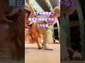 【これが真実です】姉妹プロバレリーナの実態