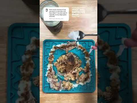 Videó: Hogyan készítsünk szűz kókuszolajat a kutyádnak?