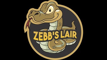 WARNING!!LIVE FEEDING!BURMESE PYTHON EATS 2 RATS