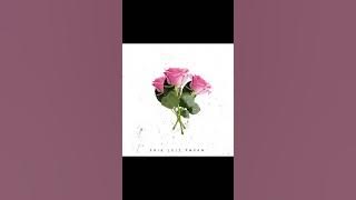 Download lagu Erik Luiz Pavan - Roses