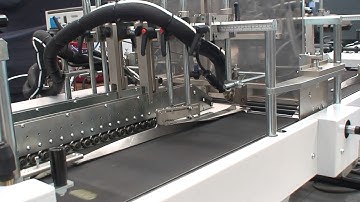 Courier Envelopes with the Victoriam D/41