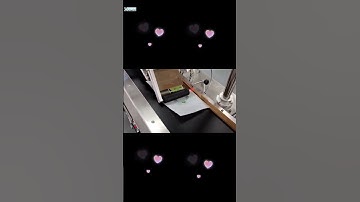 Stand up empty plastic bag pouch paging feeding labeling machine testing video