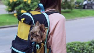Maleta para Mascotas 3 en 1 by MELLOW \u0026 KUPA - Productos Mellow - YouTube
