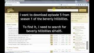 How To Download Torrents With Tixati Torrent Client screenshot 2