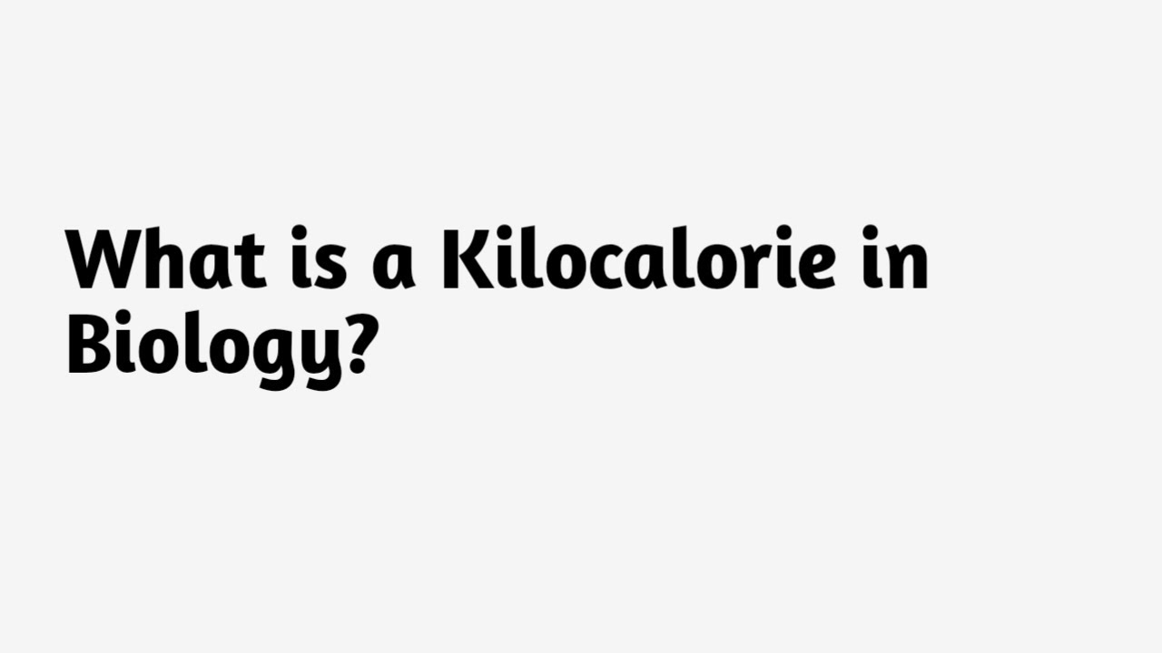 What is a Kilocalorie in Biology ? - YouTube