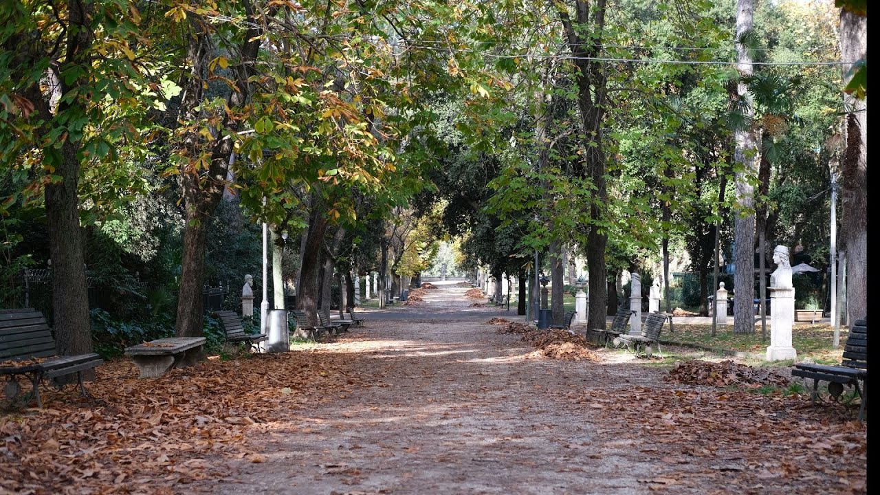 Ammirando i colori autunnali e le foglie durante una passeggiata a Roma. Slow TV, Italia 4k 50p.