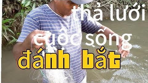 Đánh bắt cá thả lưới cuộc sống mưu sinh thiên nhiên sinh tồn của nông dân quê hương tôi
