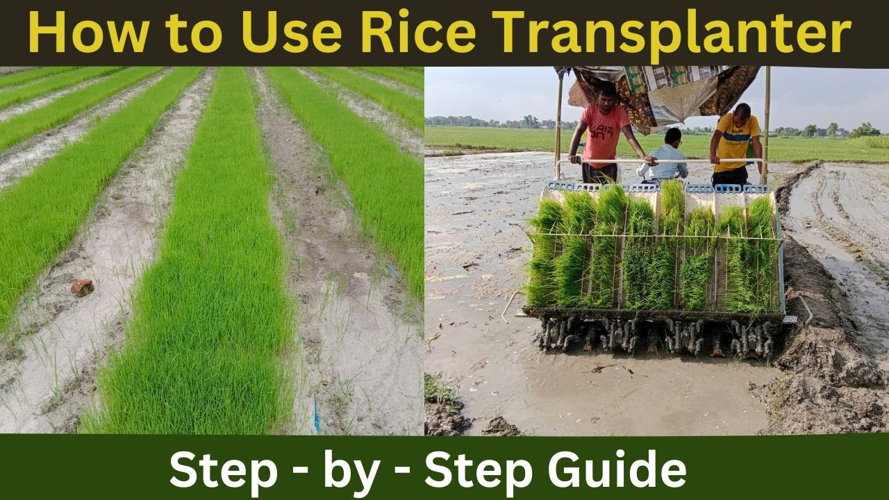 How to Use a Rice Transplanter: Step - by - Step Guide. - YouTube