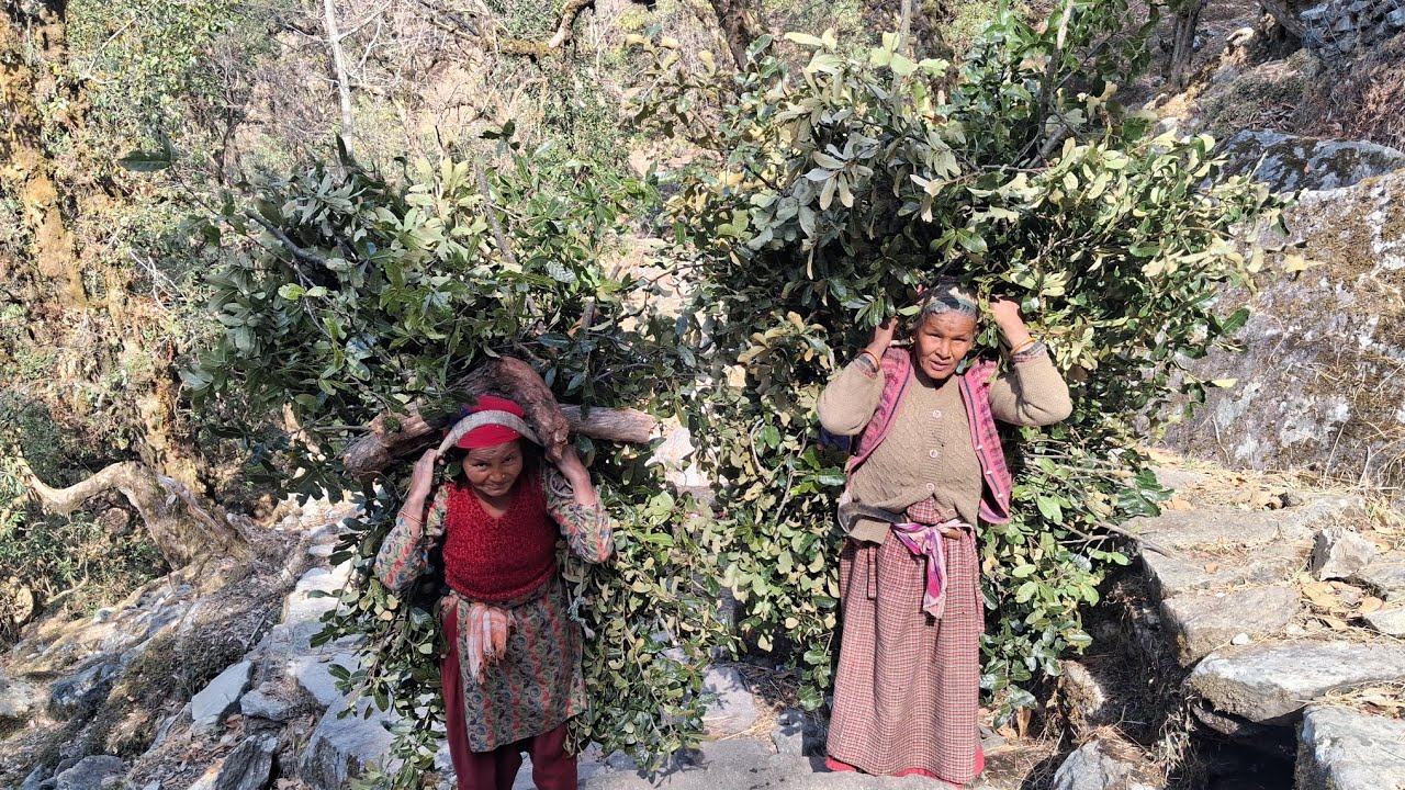 OMG 😱 ताई  जी ने बोला इतना बडा जूठ