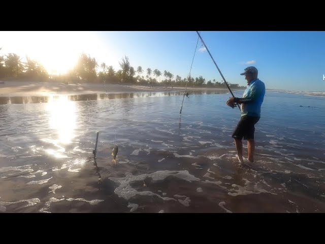 Pescaria de praia em canavieiras (Bahia) - YouTube