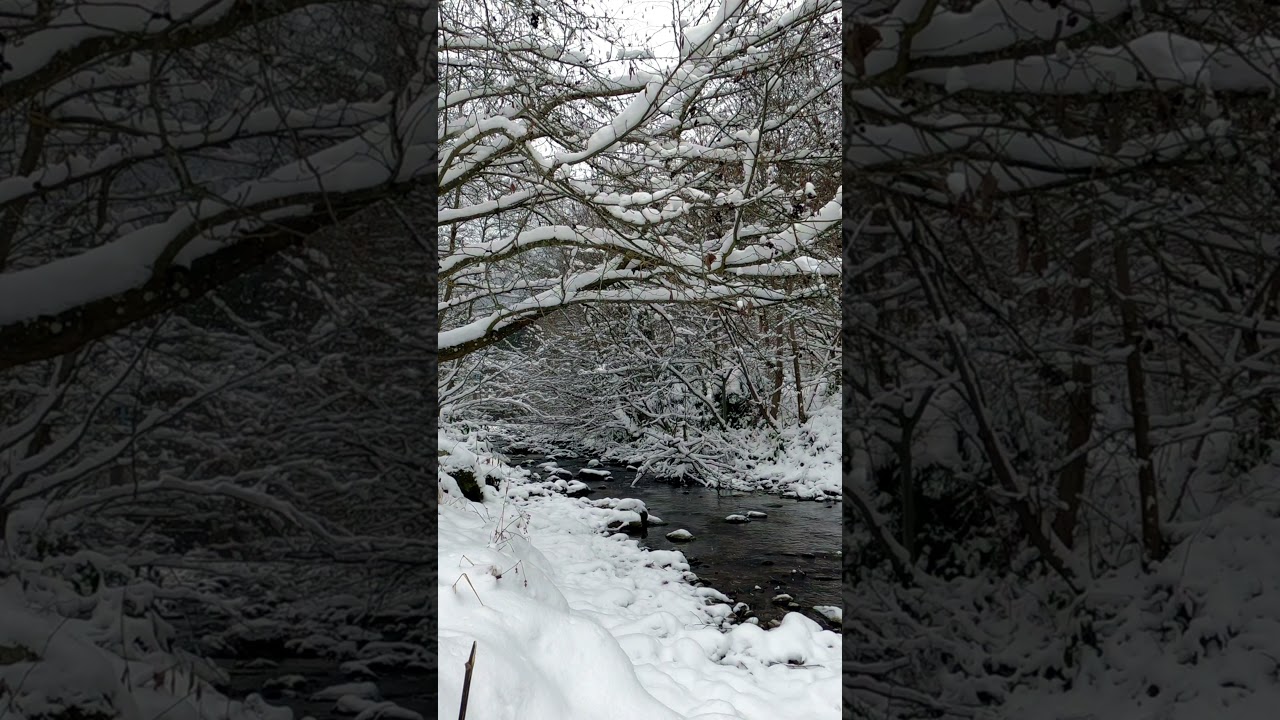 free vertical winter scene video