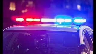 Woman of family hit by CPD squad car sues department