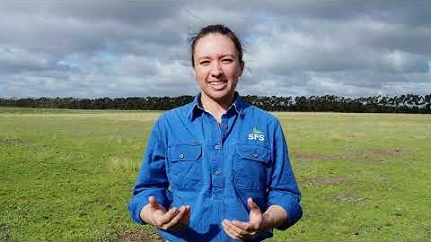 Visual indicators of soil condition Part II: Plants and pasture