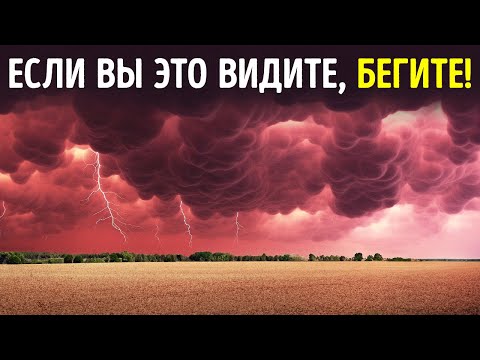 Видео: Странные природные явления, которые вас напугают