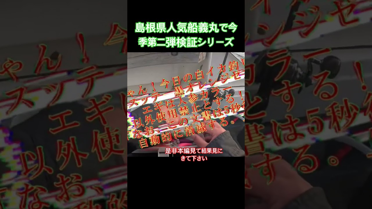 スバイ大作戦風に今季検証第二弾人気カラーで一日通したら本当に爆釣する?#shorts #イカメタル#オモリグ