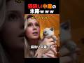 猫吸い中毒の末路ｗｗｗ
