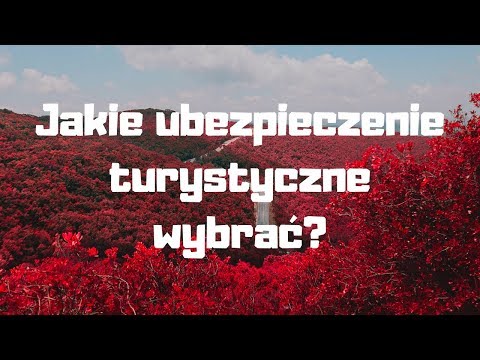 Wideo: Sprawa o zdywersyfikowany przydział inwestycji