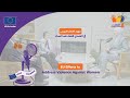 جهود الاتحاد الأوروبي في التصدي للعنف ضد النساء - EU Efforts to Address Violence Against Women