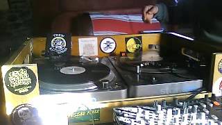 radikal guru dub mentalist