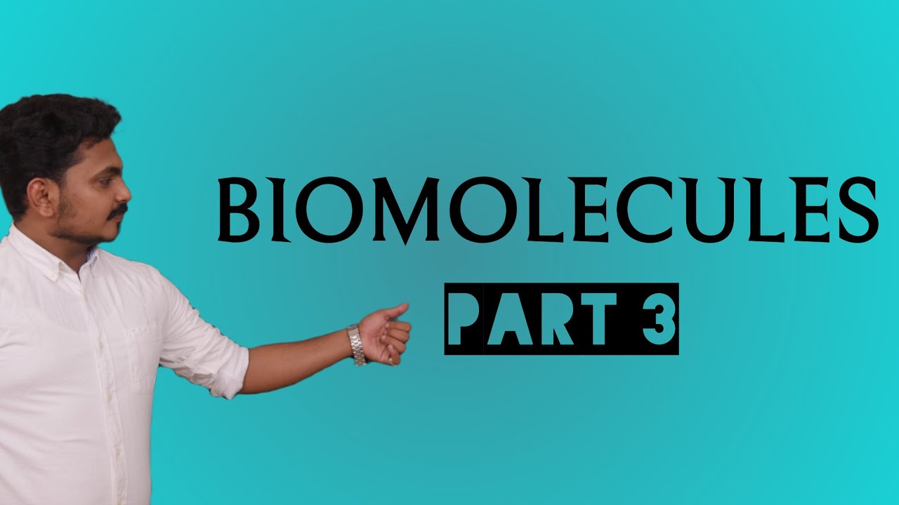 Biomolecules Plus two chemistry part 3 Malayalam To get other