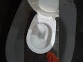 Flushing the toilet Motta