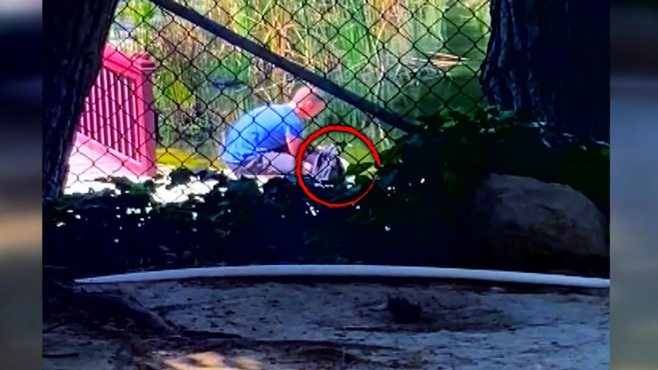 Man Seen Kidnapping Duck From Condo Development