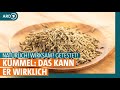 Kümmel: Das kann die Pflanze | ARD Gesund