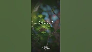 الشيخ/ سعد الغامدي - ماتيسر من سورة آل عمران