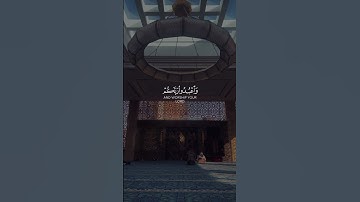 ياأيها الذين آمنوا اركعوا واسجدوا واعبدوا ربكم. . [#سورة_الحج  القارئ#عبدالرحمن_مسعد ‎