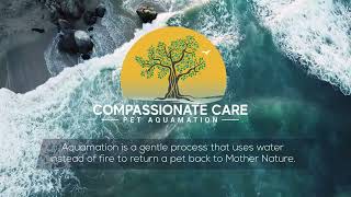 Aquamation for Horses and Large Animals in NY, NJ & CT: A Peaceful Alternative to Flame Cremation