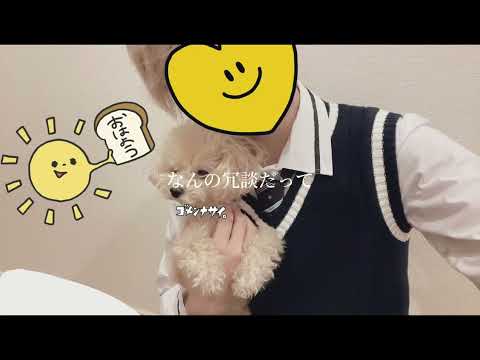 るぅとくんによるデリヘル呼んだら君が来た