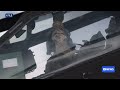 US retaliates after Iran downs Apache helicopter | ABC NEWS