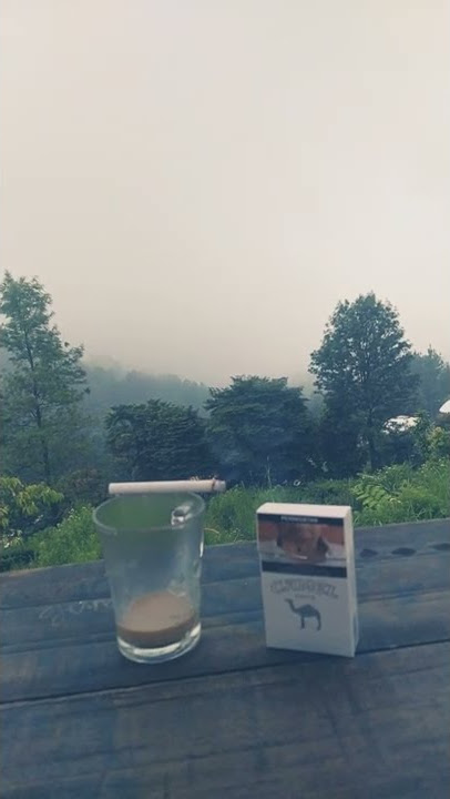 story wa ll #shorts #gtf #puncakbogor